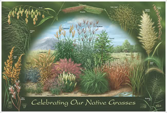 First printing of – Celebrating National Grasslands and Celebrating Grasses